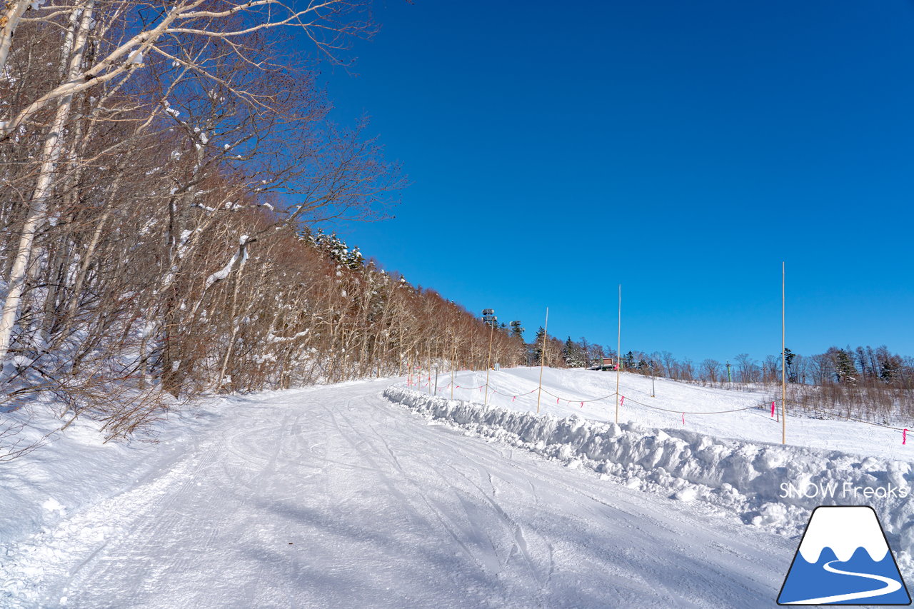 札幌藻岩山スキー場｜本日、雲一つ無い快晴！札幌藻岩山の全10コースの滑走にチャレンジ(^^)/